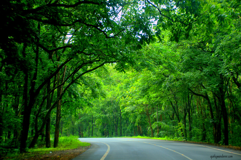 car on a road